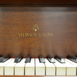 1922 Steinway Model M - Grand Pianos