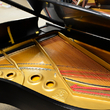 1976 Steinway Model L Grand Piano - Grand Pianos