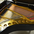 1914 Steinway Model M  Grand Piano - Grand Pianos