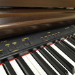 Technics PX201 - Digital Pianos