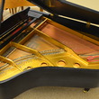 1985 Young Chang Baby Grand - Grand Pianos
