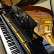 Ridgewood Baby Grand - Grand Pianos