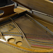 1913 The Swan Steinway. One of a Kind. - Grand Pianos
