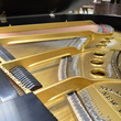 1929 Steinway Model M Grand - Grand Pianos