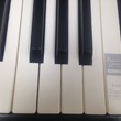 Kawai CN33 Digital Piano - Digital Pianos