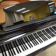 Pramberger LG-145PM2 Grand - Grand Pianos