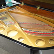 Wurlitzer Model 203 Grand Piano - Grand Pianos