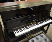 Perzina GP-122 Professional Upright Piano