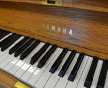 Yamaha P22 Studio Piano
