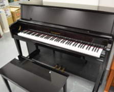 Kohler & Campbell KC-245 Studio Piano