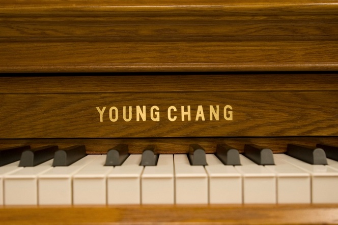piano serial number lookup young chang piano serial number lookup young chang
